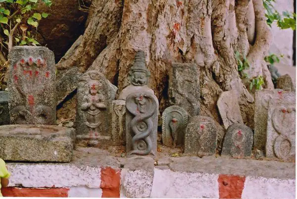 nag panchami nag panchami