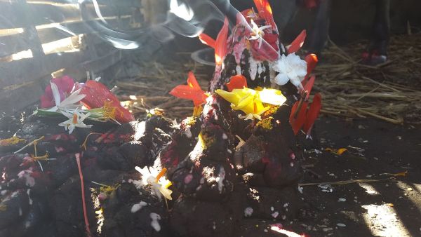 Govardhan Puja Celebrations