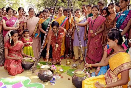 Perum Pongal