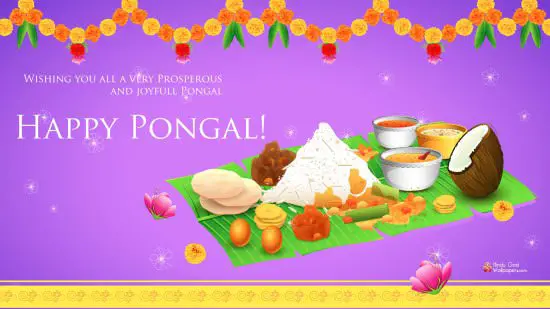 pongal images 2
