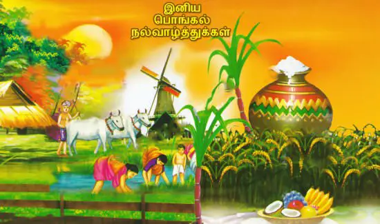 pongal images 4