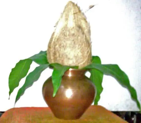 Kalash Sacred Hindu Symbol