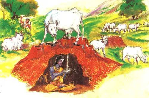 Lord Venkateswara Cow offering Milk